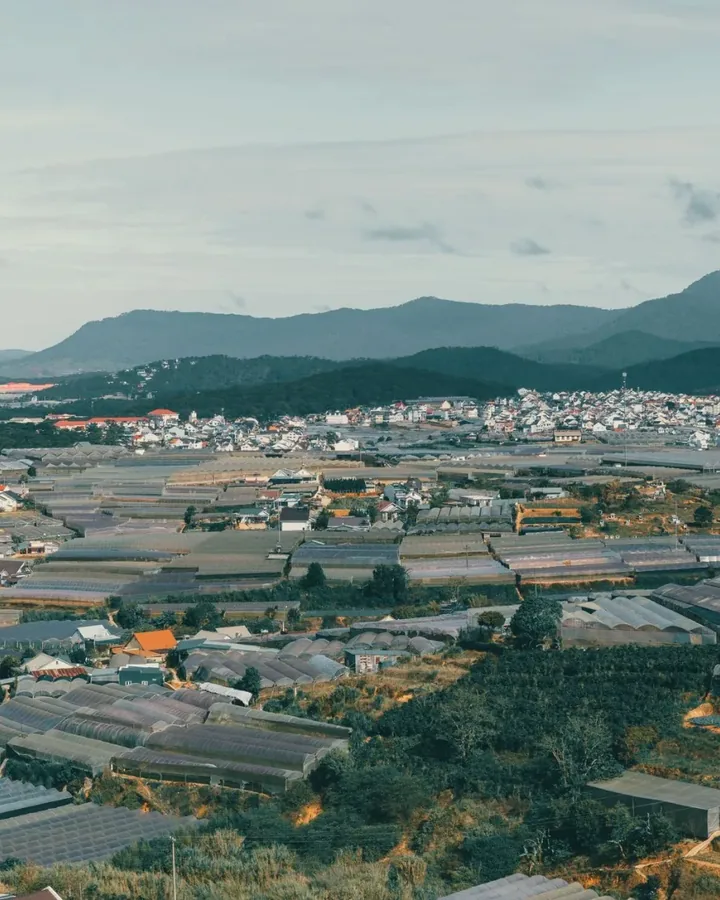 Tại Đặng Văn Phước